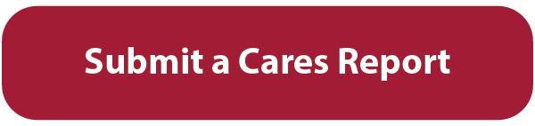 Cares Report Button